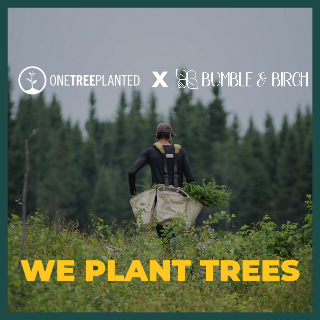 Bumble and Birch proudly partners with One Tree Planted to directly give back to the forests in which we source our wood. Every order over $15 plants a tree in the Appalachian forest.